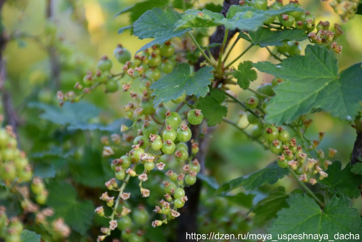 ��������� ����� �������� �������� �������: ������� ��������� ��� ������ ����