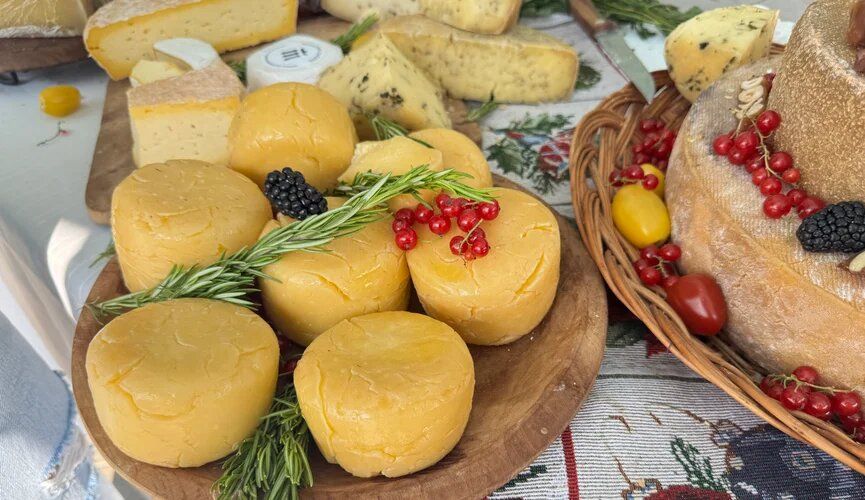 ������ ��������� ������: ����� ������ ��������