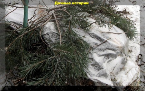 ��� ����������� ��������� � ����: ������� ������ ��� �������� �������