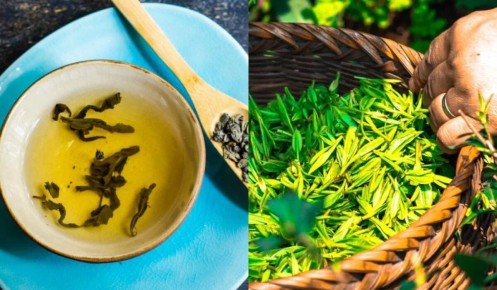 Как зеленый чай может преобразить ваш сад: удивительные советы садоводов