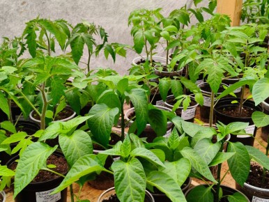 ��� ��������� ��������� ������� � 2025 ����: ������ � ��������