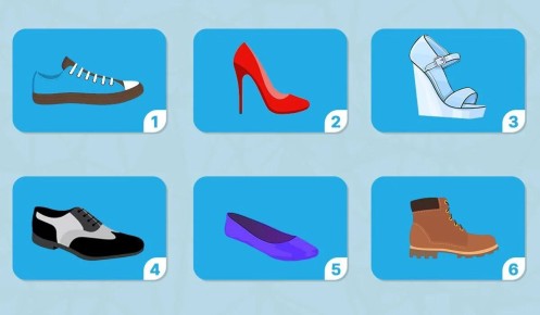 ��� ���� ������� ����� ���������� ����� ������ ���������