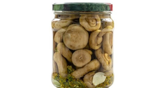 Грузди на зиму: горячий способ консервирования с классическим вкусом