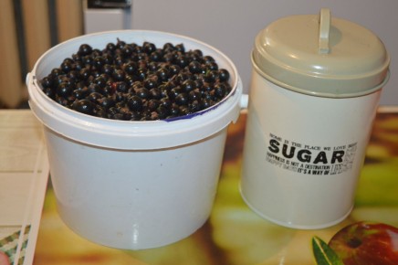 ��� ����������� ������� �� ������ ���������: ������� ������ �� ����