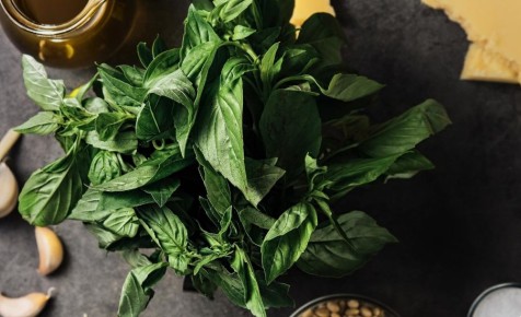 ������������ �������: ����� ����� � ������ �� ��������� �����