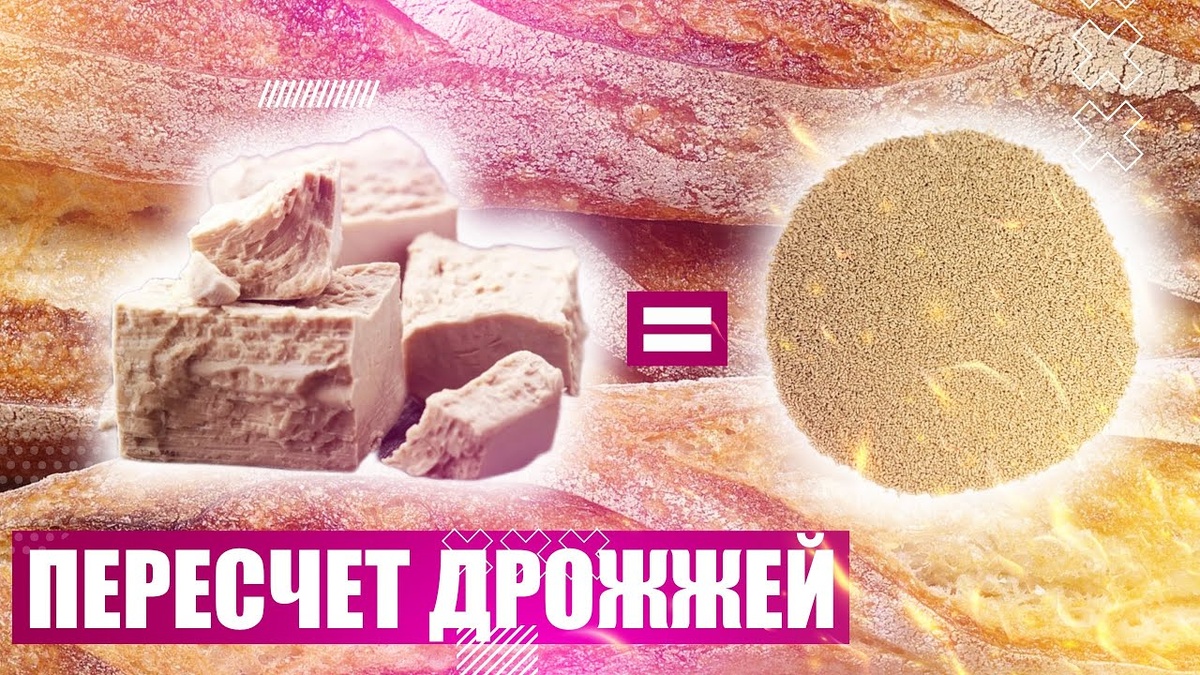 Дрожжи в хлебопечении: как рассчитать идеальную дозировку