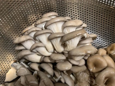 Как правильно жарить грибы, чтобы они не выделяли воду