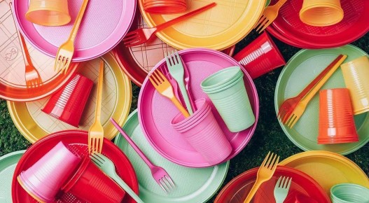 Миф о токсичности одноразовой посуды развенчан специалистом