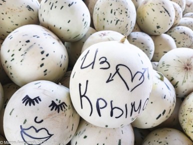 Тильда, кошки и дынная корочка: необычные моменты в южном саду