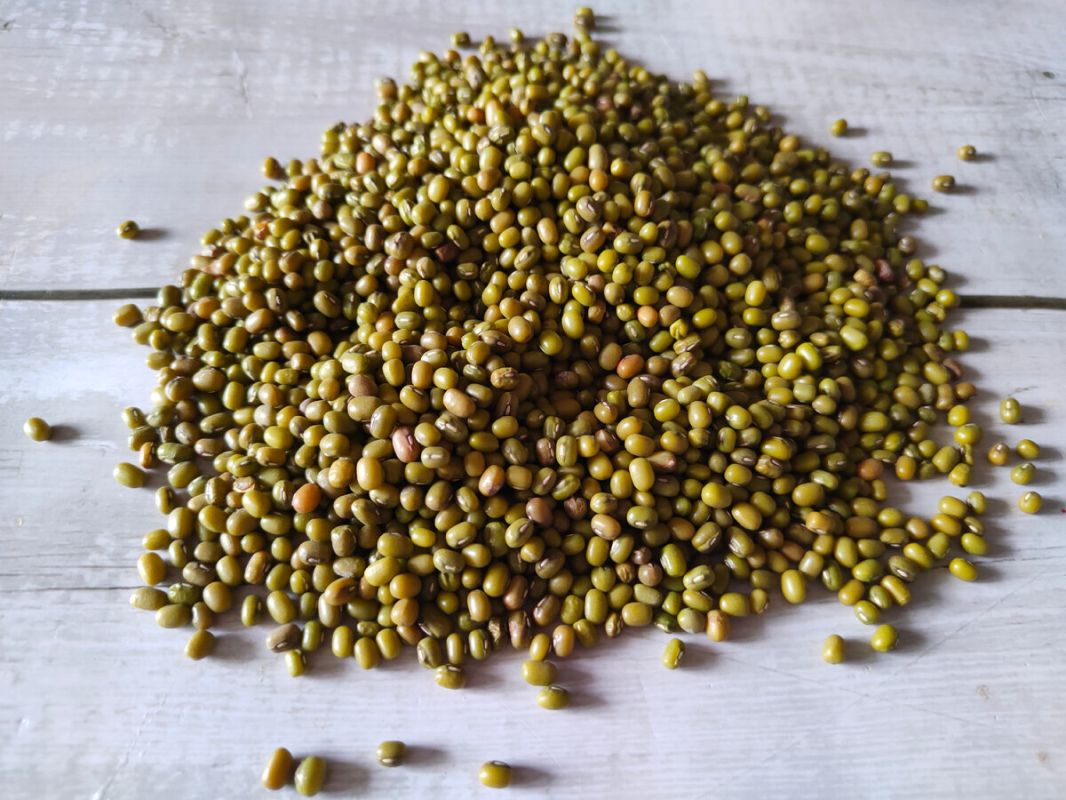 ������ ���: ���������� ���������� ��� ��������� �������