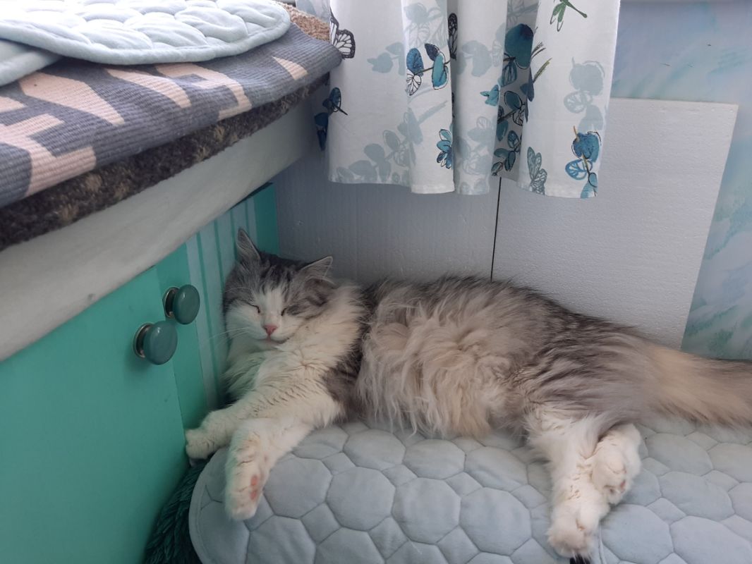 ��� ������ ��� ������������ � ������ �������