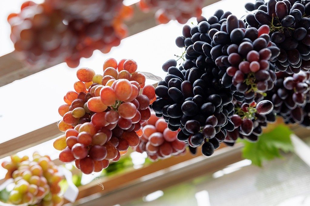 ������ ������ � �����, ������� ����� �� ��������