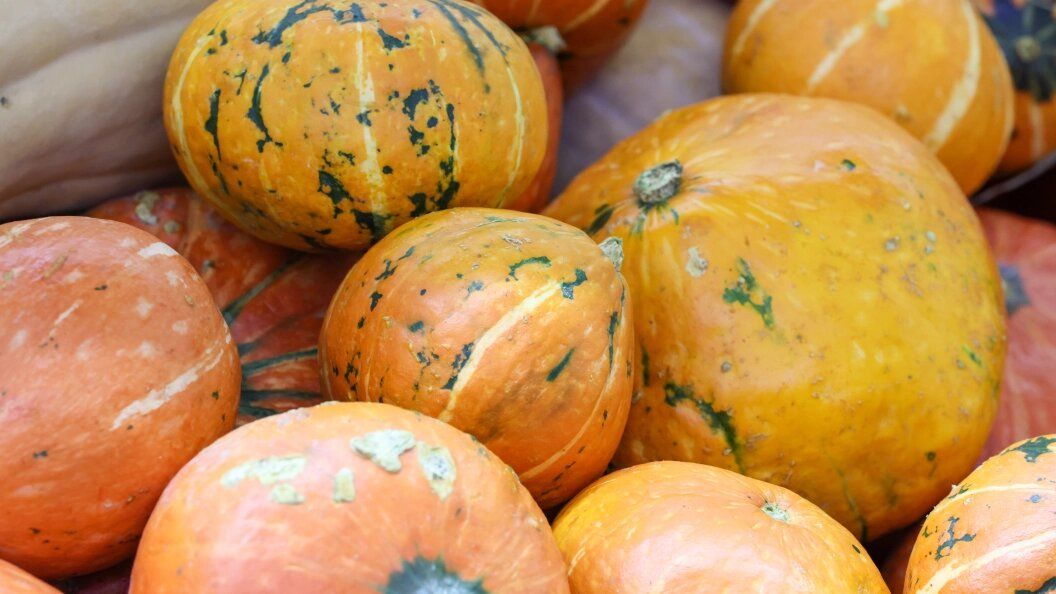 ���������� �������� �� �������� ������� � ������