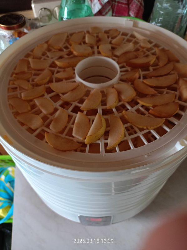 �������� �����: ��������� ���������, �������� ������ �������