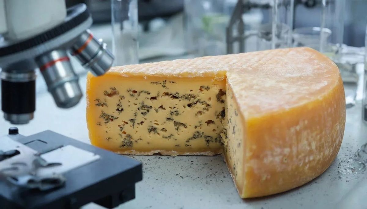 ��� �������� ���� �����: ������ �-����� � ����