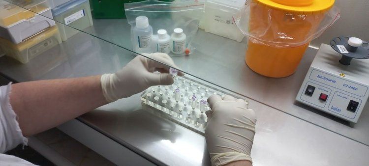 �������� ��������� ��� ���������: ����� ������� ������� � 2025 ����