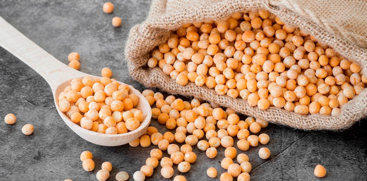 ������ �������� ������� �������� ������������� � ������ ���, ������� � ��������