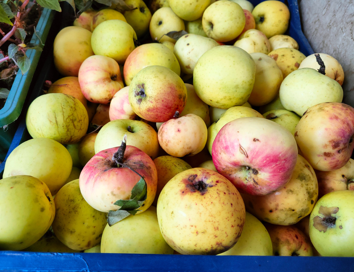 Как заинтересовать детей в фруктах и овощах: простые советы