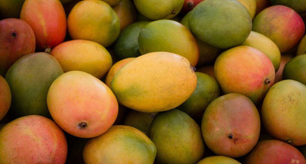 �����: ��� ��������, ������ � �������� ���� ����������� �����