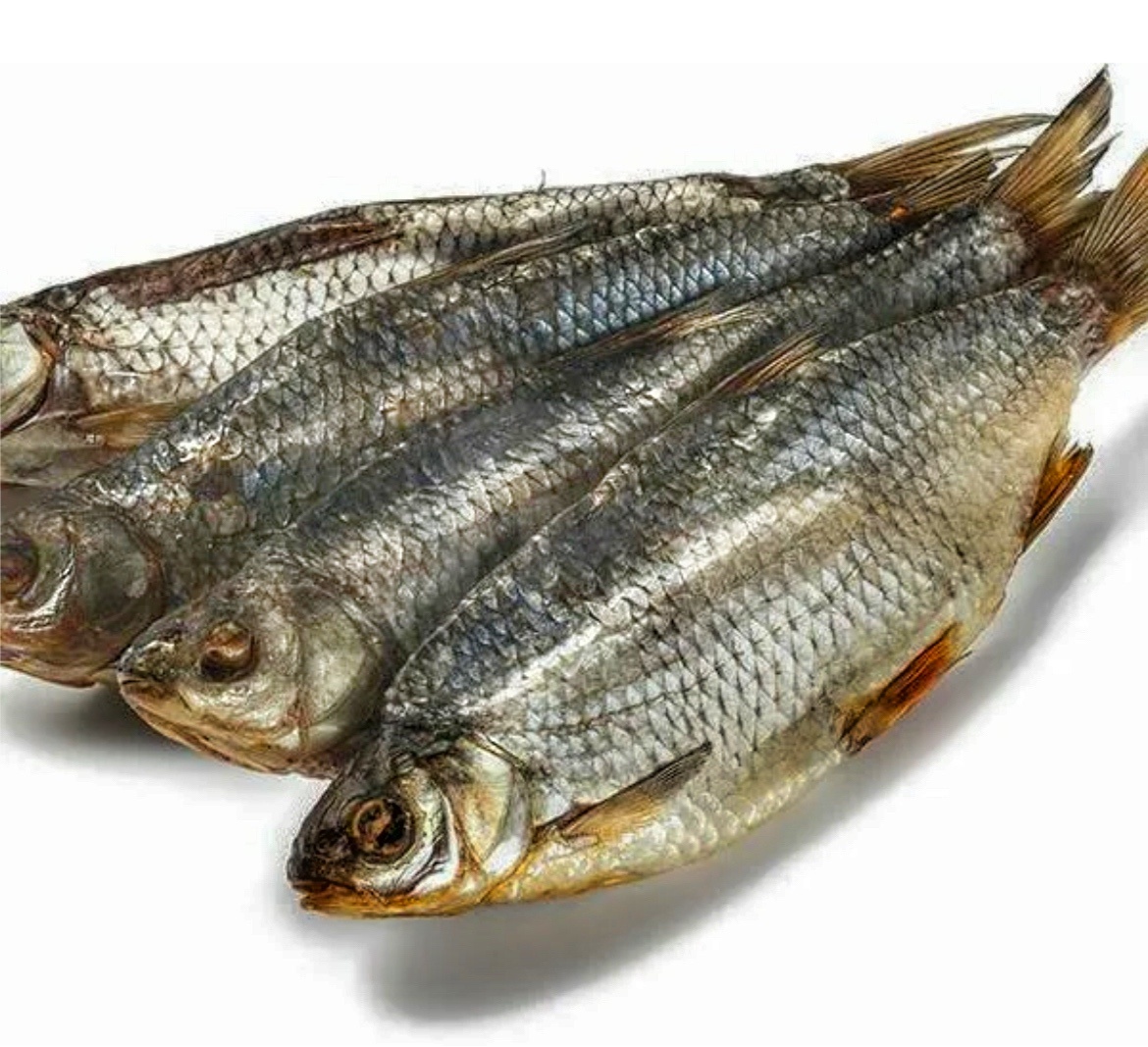 Секреты дедовского метода: как получить настоящий деликатес, соля рыбу в тряпке