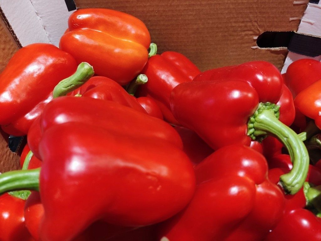 ��� ������� ������ ����� ����� ��� ������� � 2026 ����