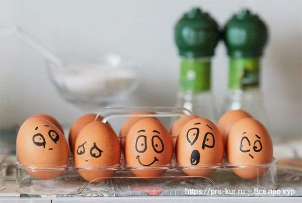 ��� ���� ������ �� ������ ��� ���-�������