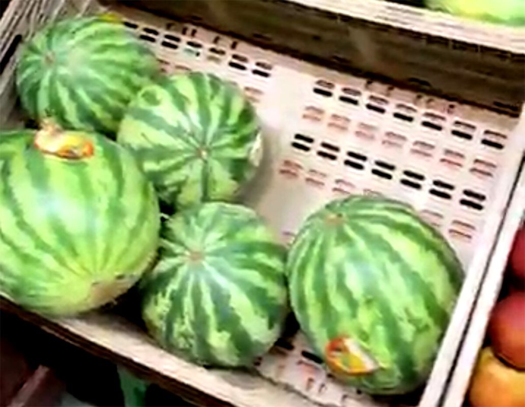 ����� �����: ���� ��� �������? ���� � ��������� �������