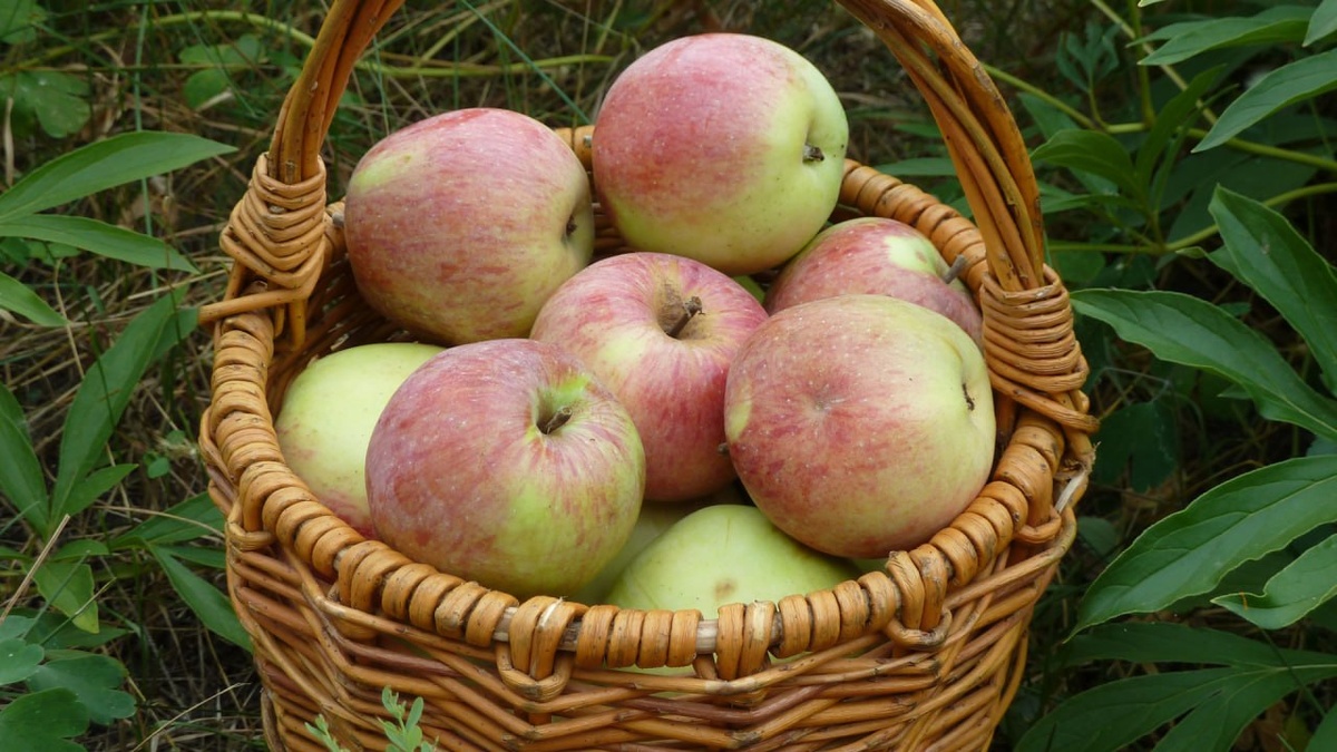 Пироги с яблоками: 5 лучших рецептов для вашей кухни