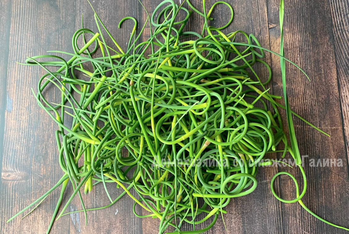 ��� ����������� ������������ ��������� ������� �� ����