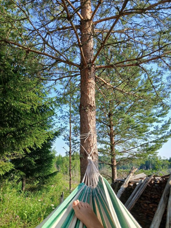 ��� ������� ����� ������� �� ������� ��� ������������ �������