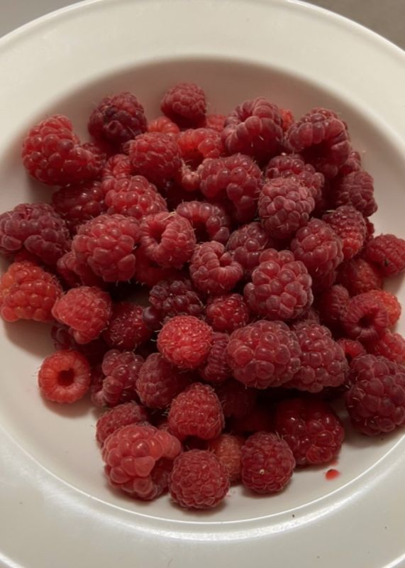 ��� �������� �������� ��������� ���������� � ����: �����, ������� ����� �����������