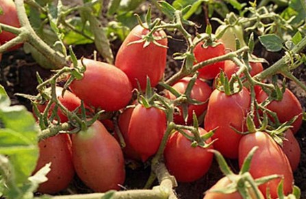 �������� ������: 7 ������ ������ ��� ���������� ������