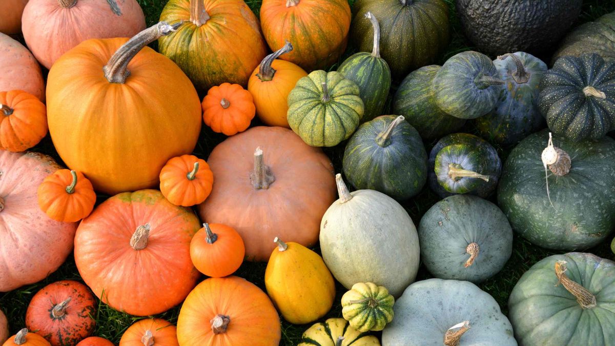 ������������ ������� � ������: ������� ���� ��� �����