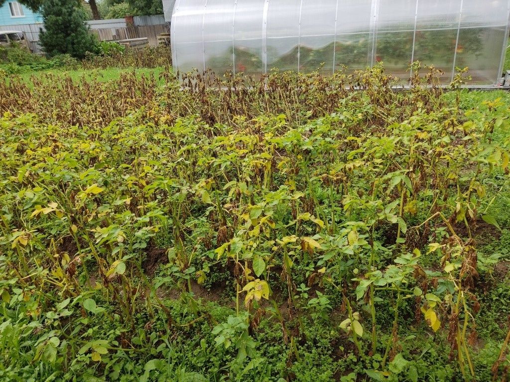 ������ �������� ���������: ������ �������� �� �����