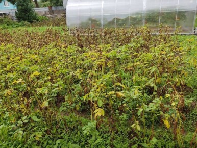 ������ �������� ���������: ������ �������� �� �����