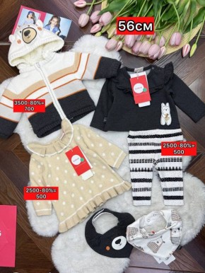 ������� � �����, ������� �������� 56-� �������