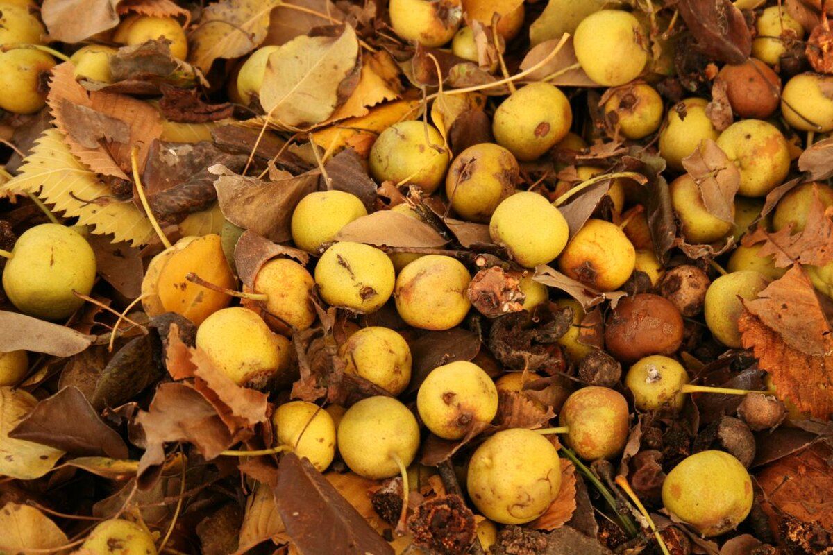 ��� ������� ������� ������������� ������� �� �����-�����