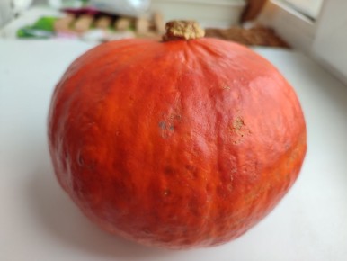 ��������� ������� �� ����: ������� �������� � ������ � �����