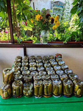 Как приготовить медовые огурцы с уксусом: кулинарный хит для зимних запасов