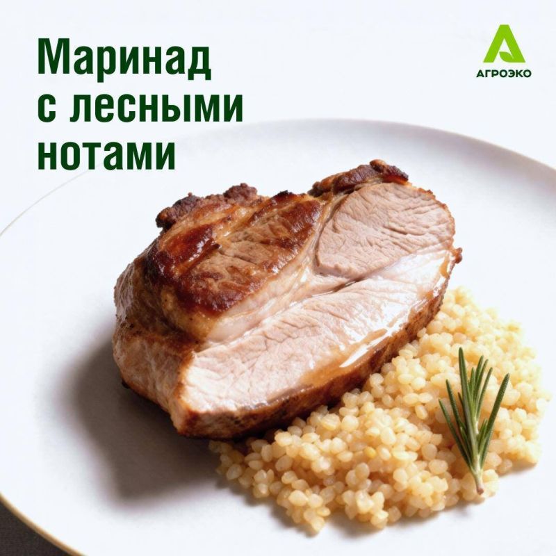 ������ �������� � �������� ����: ������� �������������