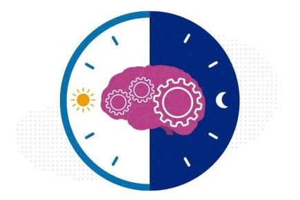 ������� �����������: ������� ��� ���� ��� ��������?