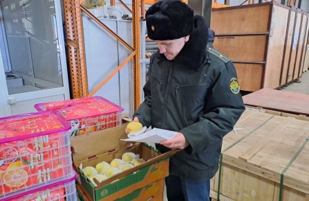 �� ���� ������� ���� � ��������