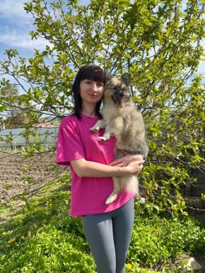 ��� ����������� ������� �������� � ������ � ����������� ������