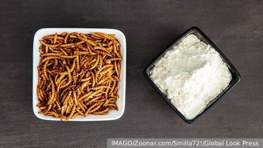 � ������ ����������� ����� �������� ������� ���������� � ������� ���� �� ������