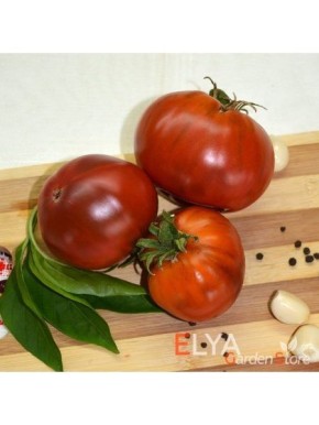 ���������� ����: �����, ������� ������� ��� ����