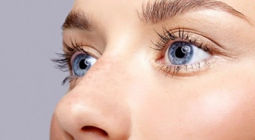 ���� ������ ��������: ��� ������� ������� ��������� � �������� ����