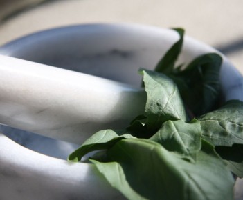 ��� ����������� ������������ ����������� ���� ����� �� 25 �����