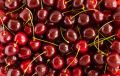 7 причин выбрать черешню для здоровья сердца