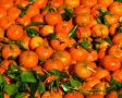 Цены на мандарины падают: что происходит на рынке?