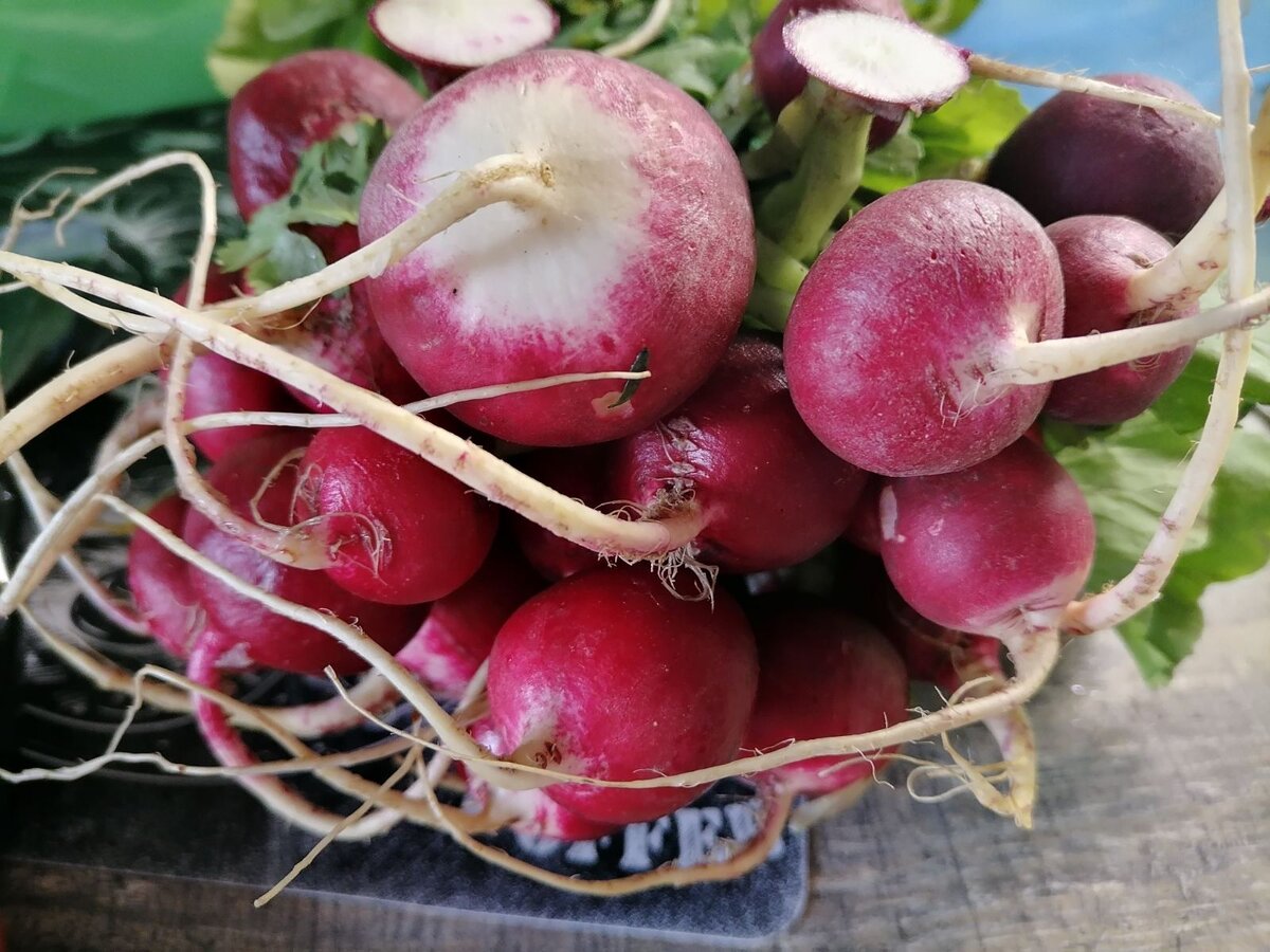 Недоокрошка: салат, который покорит любого гурмана